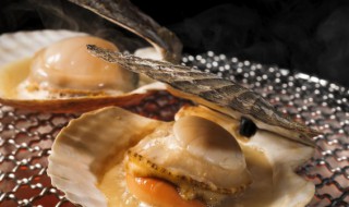 青贝怎么清洗 青贝怎么清洗去沙