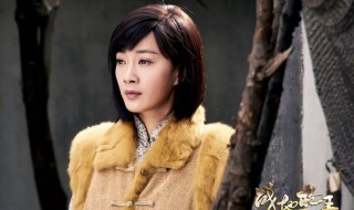 战地枪王演员表（战地枪王演员表佟小凤）