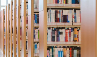 古代有哪些属鼠的名人(古代有哪些属鼠的名人名字)