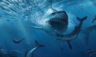 巨齿鲨的演员有哪些（巨齿鲨的演员有哪些）