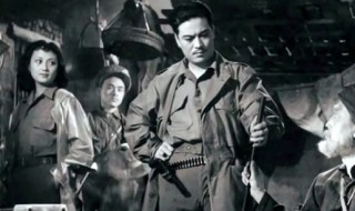 电视剧英雄虎胆演员表(电视剧英雄虎胆演员表全)