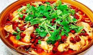 特色水煮鱼的做法 特色水煮鱼的做法大全