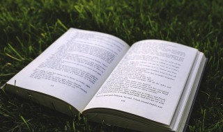 短中取长的意思 取长不短的意思