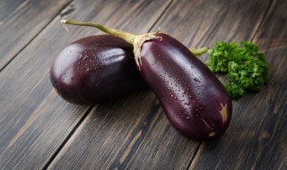 家庭花盆种茄子的方法 家庭花盆种茄子的做法