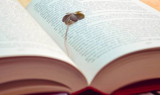 救过不给的意思 救你不得是什么意思