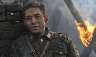 孤胆女英雄演员有哪些（孤胆女英雄演员有哪些名字）