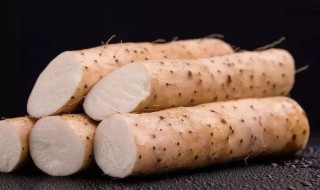 山药发芽了怎么种盆栽 山药发芽了怎么种盆栽呢