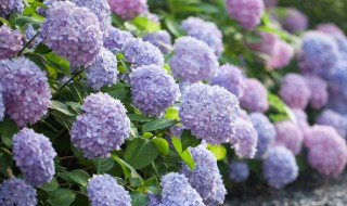 无尽夏怎么过冬天（无尽夏如何过冬天）