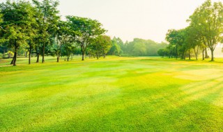 地的拼音怎么写（烛光的拼音怎么写）