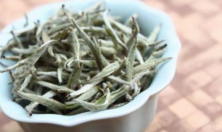 福鼎白茶属于什么茶种 福鼎白茶属于什么茶