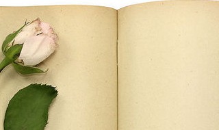 娴怎么读 娴怎么读拼音