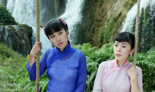 二大秀梅是什么电视剧（葡萄 秀梅 二大 电视剧）