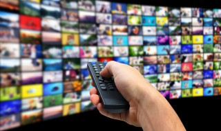 我的小姨演员表 姨夫演员表