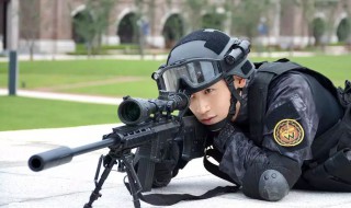 杨灿是什么电视剧（杨灿是什么电视剧里的人物）