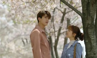 大力女子都奉顺演员表 大力女子都奉顺演员表坏人