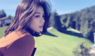 将军在上演员表（将军在上演员表全部演员介绍）