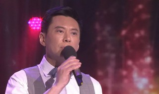 兄弟车行演员表（电视剧兄弟车行演员表）