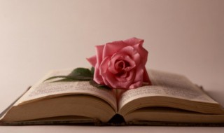 思想感情有哪些 阅读理解的思想感情有哪些