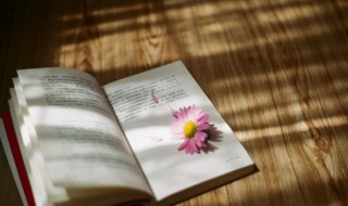 钱塘湖春行的思想感情 钱塘湖春行的思想感情介绍