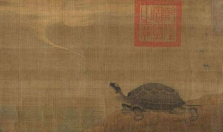 龟虽寿思想感情（龟虽寿思想感情总结）