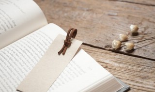 论语中的文质彬彬是什么意思 论语中展现文质彬彬中文与质之间关系的两句是