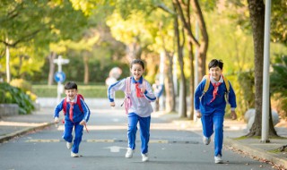 双减政策下的作业（双减政策下的作业布置反思）