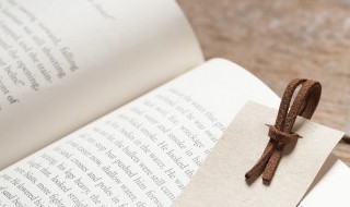 芦苇的苇组词 芦苇的苇组词有哪些