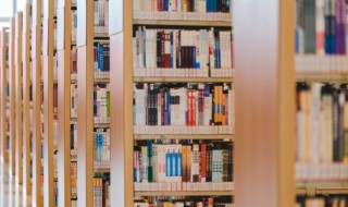 九九消寒图是什么（九九消寒图是什么节气）