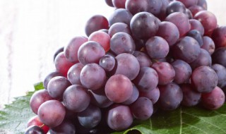 妲己总喂纣王吃葡萄的原因是什么（妲己为什么没事儿就给纣王喂葡萄类似的问题）