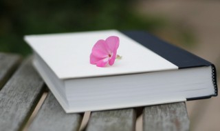 眼睑的睑组词 眼睑的睑组词有哪些