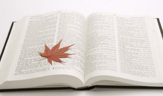 纱的组词 续的组词