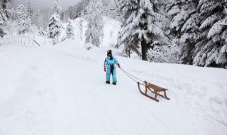 大雪节气会下雪吗 大雪节气会不会下雪呢