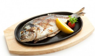 鱼一度成为了鲜字的代表（“鱼”字的“一”表示什么）