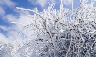 数九是从什么开始什么结束（数九从哪开始从哪结束）