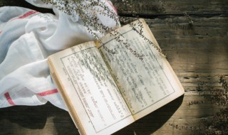 优旃凭什么敢反语谏秦王 优旃反语谏秦王文言文