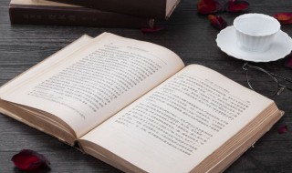 洞察一切是什么意思（洞察的意思是啥）