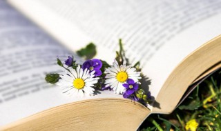 臭名昭著是什么意思（臭名昭著?）