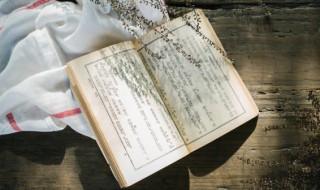 不翼而飞是什么意思（不翼而飞的意思是什么意思是什么意思）