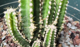 万重山变软补救方法 新买的万重山变软补救方法