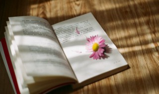 逆水行舟不进则退是什么意思（逆水行舟 不进则退什么意思）