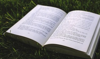 有来无回的意思是什么 有来无回的意思是什么生肖