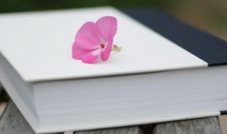 指鹿为马的是谁（指鹿为马的是谁?纸上谈兵的是谁?）