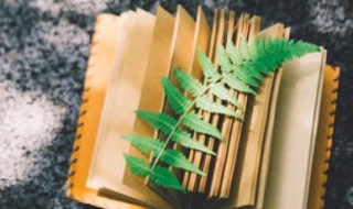 词圣指的是谁（词圣是什么人）