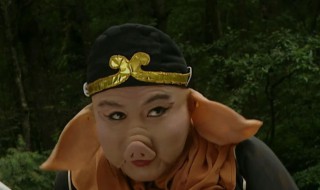 八戒指的是哪八戒（八戒是哪八个戒）