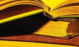 两廊一圈中的两廊是指从哪到哪（两廊一圈中的两廊是指从哪到哪）