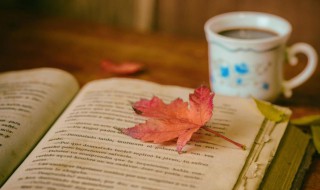 墙壁的墙组词（墙壁的墙组词怎么写）