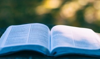 尾组词 尾组词一年级上册