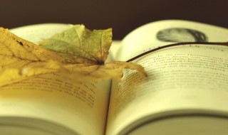 止字组词 浑字组词