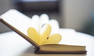 柴字组词（柴字组词烧组词）