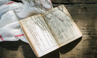 币组词 币组词 词语